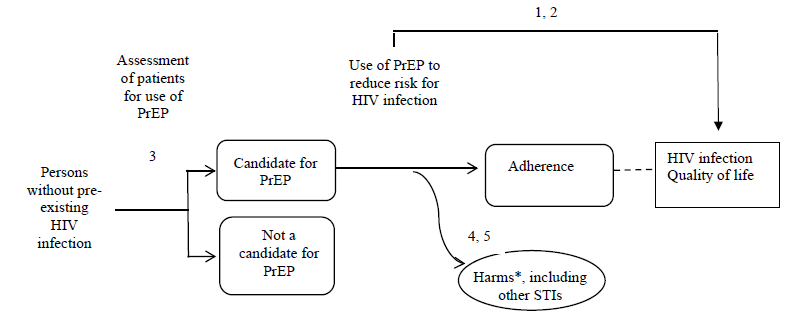 The analytic framework depicts the relationship between the population, intervention, outcomes, and harms of pre-exposure prophylaxis (PrEP) for the prevention of HIV infection. The far left of the framework describes the target population as persons without pre-existing HIV infection. To the right of the population is an arrow which represents assessment of indications for PrEP (Key Question 3), which leads to boxes representing a candidate for PrEP or not a candidate for PrEP. From the candidate for PrEP population box, an arrow representing the use of PrEP to reduce risk for HIV infection leads to the effects of PrEP, through a box representing adherence, on the clinical outcomes of HIV infection and quality of life (Key Questions 1 and 2), and the assessment of any potential harms of PrEP (Key Questions 4 and 5), which include other sexually transmitted infections, renal dysfunction, adverse effects on bone, pregnancy-related outcomes, infection with antiretroviral drug–resistant HIV, gastrointestinal harms, headaches, and discontinuation due to adverse events. 