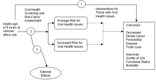 The analytic framework depicts the relationship between the population, screening, interventions, outcomes, and potential harms of screening for oral health. The far left of the framework shows the target population for screening as adults >18 years of age at a clinician office visit. To the right of the population is an arrow corresponding to key question 2 which represents the accuracy of screening and risk factor assessment. This arrow leads to those at average or increased risk for oral health issues. This step may lead to harms, which corresponds to key question 3. Arrows show that adults at either risk level may experience interventions with the aim of decreasing dental caries, periodontal disease, and tooth loss and improving quality of life, functional status, and morbidity. An overarching arrow representing key question 1 goes directly from screening to these outcomes of interest.