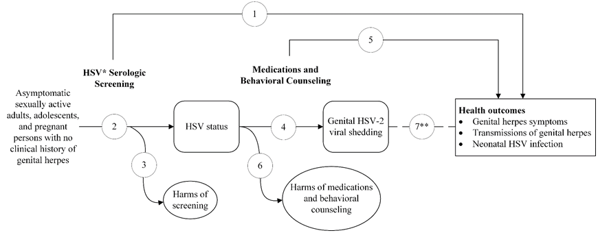 Figure 1 is an Analytic Framework that depicts the review’s key questions (KQs) within the context of the eligible populations, screenings/interventions, comparisons, outcomes, timing, and settings. On the left, the population of interest is specified as asymptomatic sexually active adolescents, adults, and pregnant persons with no clinical history of genital herpes. Moving from left to right, the figure illustrates the first overarching KQ: Does serologic screening for HSV-2 or combined testing for HSV-1 and 2 in asymptomatic adults and adolescents reduce future symptomatic episodes and transmission of genital herpes, including vertical transmission in pregnant persons (KQ1)? The figure depicts the pathway from screening to the second KQ about the accuracy of serologic screening for HSV-2 in asymptomatic adolescents, adults, and pregnant persons (KQ2). Serologic screening for HSV-2 or combined testing for HSV-1 and HSV-2 may result in harms, which is addressed by KQ3. The figure also illustrates two questions about potential treatment benefit. The fourth KQ asks how effective antiviral medications are in reducing genital HSV-2 viral shedding in asymptomatic adolescents, adults, and pregnant persons (KQ4)? The next question, KQ5, asks how effective antiviral medications and behavioral counseling interventions are in reducing future symptomatic episodes and transmission of genital herpes in asymptomatic adults and adolescents, including vertical transmission in pregnant persons. Health outcomes of interest include genital herpes symptoms, transmissions of genital herpes, and neonatal HSV infection. KQ6 deals with the potential harms of antiviral medications and behavioral counseling interventions to reduce future symptomatic episodes and transmission of genital herpes. Finally, there is a seventh, conditional KQ asking what evidence supports an association between subclinical genital HSV-2 viral shedding and health outcomes in asymptomatic adolescents, adults, and pregnant persons who are seropositive for HSV-2. We will only ask this question if there is insufficient literature for KQs 1 and 5 but sufficient literature for KQ4.