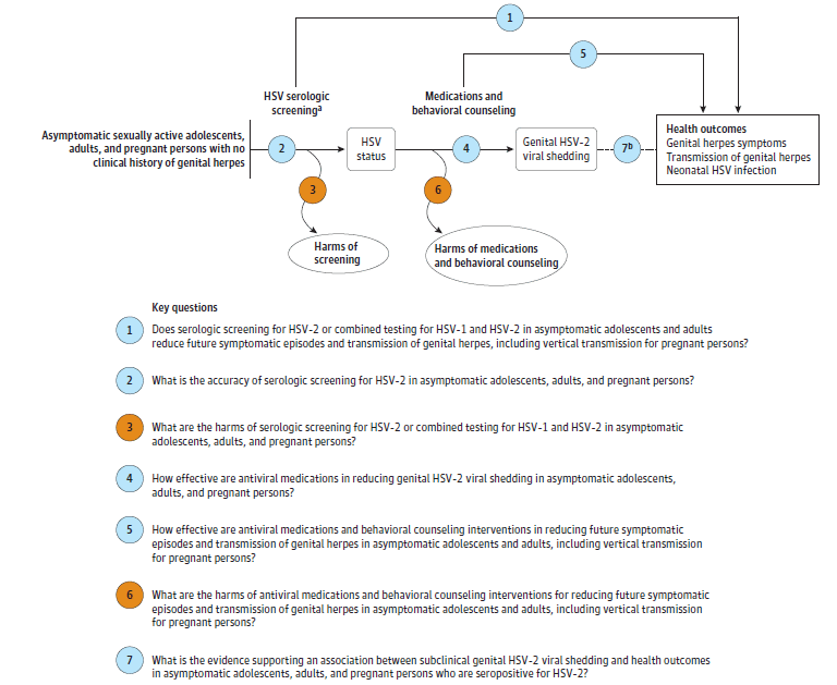 Figure is an Analytic Framework and depicts the update review’s key questions (KQs) within the context of the eligible populations, screenings/interventions, comparisons, outcomes, timing, and settings. On the left, the population of interest is specified as asymptomatic sexually active adults, adolescents, and pregnant persons with no clinical history of genital herpes. Moving from left to right, the figure illustrates the first overarching KQ: Does serologic screening for herpes simplex virus type 2 (HSV-2) or combined testing for herpes simplex virus type 1 (HSV-1) and 2 in asymptomatic adults and adolescents reduce future symptomatic episodes and transmission of genital herpes, including vertical transmission for pregnant persons (KQ1)? The figure depicts the pathway from screening to detection of hearing loss to illustrate the second KQ about the accuracy of serologic screening for HSV-2 in asymptomatic adults, adolescents, and pregnant persons (KQ2). Serologic screening for HSV-2 or  combined testing for HSV-1 and HSV-2 may result in harms, which is addressed by KQ3. The figure also illustrates two questions about potential treatment benefit. The fourth KQ asks how effective antiviral medications are in reducing genital HSV-2 viral shedding in asymptomatic adolescents, adults, and pregnant persons (KQ4)? The next question, KQ5, asks how effective antiviral medications and behavioral counseling interventions are in reducing future symptomatic episodes and transmission of genital herpes in asymptomatic adults and adolescents, including vertical transmission for pregnant persons. Health outcomes of interest include genital herpes symptoms, transmissions of genital herpes, and neonatal HSV infection. KQ6 deals with the potential harms of antiviral medications and behavioral counseling interventions to reduce future symptomatic episodes and transmission of genital herpes. Finally, there is a seventh, conditional KQ asking what evidence supports an association between subclinical genital HSV-2 viral shedding and health outcomes in asymptomatic adults, adolescents, and pregnant persons who are seropositive for HSV-2. We will only ask this question if there is insufficient literature for KQs 1 and 5 but sufficient literature for KQ4.