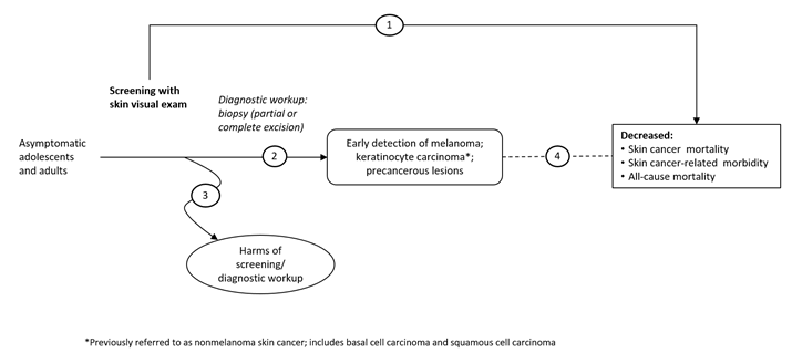 The analytic framework depicts the four Key Questions (KQs) described in the Research Plan. Specifically, it illustrates the following questions: whether routine skin cancer screening reduces skin cancer morbidity and mortality and all-cause mortality (KQ1); whether routine skin cancer screening leads to earlier detection of skin cancer or precancerous lesions compared to usual care (KQ2); the harms of skin cancer screening and diagnostic followup (KQ3); and the association between earlier detection of skin cancer and skin cancer morbidity and mortality and all-cause mortality (KQ4).