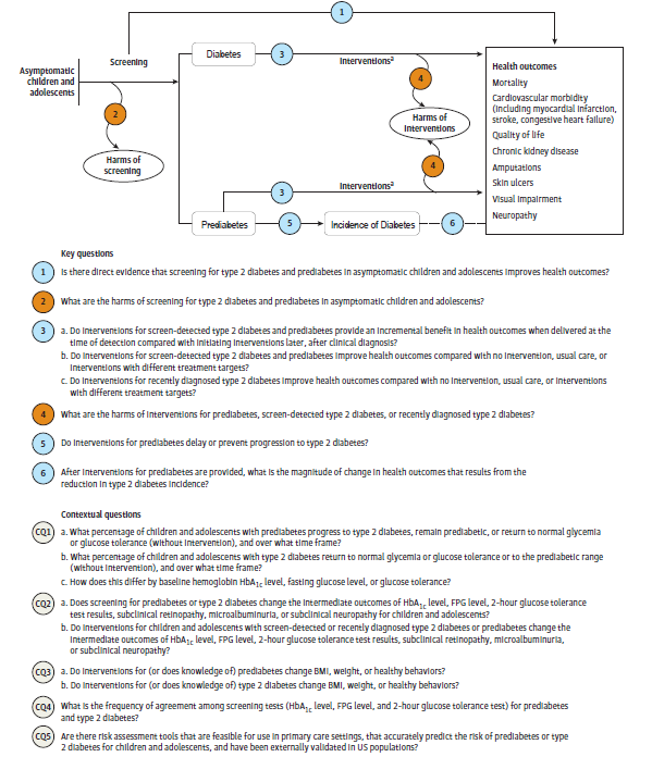 Figure 1 depicts the key questions within the context of the eligible populations, screenings, interventions, comparisons, outcomes, and settings. On the left, the population of interest is asymptomatic children and adolescents. Moving from left to right, the figure illustrates the overarching question: Is there direct evidence that screening for type 2 diabetes and prediabetes in asymptomatic children and adolescents improves health outcomes (Key Question 1)? Screening may result in harms (Key Question 2). After diagnosis of type 2 diabetes or prediabetes, the figure illustrates the following questions: Do interventions provide an incremental benefit in health outcomes when delivered at the time of detection compared with initiating interventions later, after clinical diagnosis (Key Question 3a); and do interventions improve health outcomes compared with no intervention, usual care, or interventions with different treatment targets (Key Question 3b)? For recently diagnosed type 2 diabetes, the figure illustrates the question: Do interventions improve health outcomes compared with no intervention, usual care, or interventions with different treatment targets (Key Question 3c)? Interventions may result in harms (Key Question 4). For prediabetes, the figure depicts the questions: Do interventions delay or prevent progression to type 2 diabetes (Key Question 5); and after intervention, what is the magnitude of change in health outcomes that results from the reduction in type 2 diabetes incidence (Key Question 6)? 