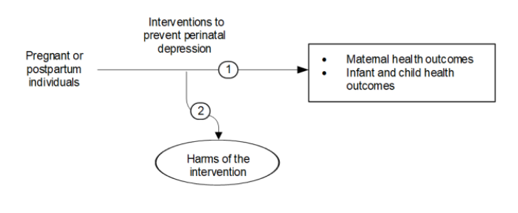 Figure 1 is the analytic framework that depicts the two Key Questions to be addressed in the systematic review. The figure illustrates how interventions to prevent perinatal depression in pregnant or postpartum individuals may result in improved maternal, infant, and child health outcomes (KQ1). Additionally, the figure depicts whether interventions to prevent perinatal depression in pregnant or postpartum individuals are associated with any harms (KQ2).