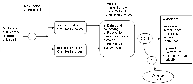 The analytic framework depicts the relationship between the population, preventive interventions, outcomes and potential harms of interventions to prevent oral health issues. The far left of the framework describes the target population as adults >18 years of age at a clinician office visit. To the right of the population is an arrow corresponding to key question 1 which represents accuracy of risk factor assessment. This arrow leads to those at average or increased risk for oral health issues. Arrows show that those at either risk level would receive preventive interventions, as they are intended for those with without oral health issues. Key questions 2, 3, and 4 examine the effectiveness of behavioral counseling, referral to a dental health care provider, and preventive interventions, respectively, with the aim of decreasing dental caries, periodontal disease, and tooth loss and improving quality of life, functional status, and morbidity. Preventive interventions may lead to harms, which corresponds to an arrow for key question 5.