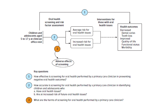 The analytic framework depicts the relationship between the population, screening, interventions, outcomes, and potential harms of screening for oral health. The far left of the framework shows the target population for screening as children and adolescents ages 5 to 17 years at a clinician office visit. To the right of the population is an arrow corresponding to key question 2 which represents the accuracy of screening and risk factor assessment, identifying those at average or increased risk for oral health issues. This step may lead to harms, which corresponds to key question 3. Arrows show that children at either risk level with oral health issues may receive interventions, with the aim of decreased dental caries and tooth loss and improved quality of life, functional status, and morbidity. These outcomes are represented in a box at the end of the pathway. An overarching arrow representing key question 1 represents the effect of screening on these outcomes of interest.