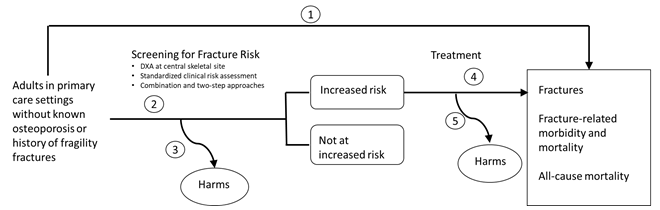 This figure is an analytic framework depicting the key questions (KQs) within the context of the populations, interventions, comparisons, outcomes, time frames, and settings (PICOTS) relative to the effectiveness and harms of screening and treatment for osteoporosis. The figure illustrates the relationship between osteoporosis for adults in primary care settings without known osteoporosis or history of fragility fractures. KQ1 concerns the direct pathway of the relationship between screening and risk assessment and reduced fracture-related morbidity and mortality. On the indirect pathway, the population is shown as being at an increased risk or not at an increased risk based on screening with DXA at a central site or standardized clinical risk assessment tools, or a two-step process using both methods (KQ2). The harms of screening are assessed for the whole population undergoing screening (KQ3). If the population is not at increased risk, the pathway stops. For those at an increased risk, the benefits (KQ 4) and harms (KQ 5) of treatment are assessed relative to fracture-related morbidity and mortality outcomes.