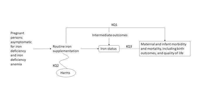 The analytic framework depicts the relationship between the population, intervention, outcomes, and harms of supplementation for the prevention of iron deficiency and iron deficiency anemia during pregnancy. The far left of the framework describes the target population as pregnant persons asymptomatic for iron deficiency and iron deficiency anemia. To the right of the population is an arrow which leads to the intervention routine iron supplementation. Below routine iron supplementation is an oval for harms of screening (Key Question 2). An arrow leads directly from the intervention to a box containing health outcomes maternal and infant morbidity and mortality, including birth outcomes, and quality of life (Key Question 1). An arrow to the right of the intervention leads to a rounded edge box containing the intermediate outcome of iron status. A dotted line to the right of iron status represents the connection between iron status and health outcomes maternal and infant morbidity and mortality, including birth outcomes, and quality of life (Key Question 3).