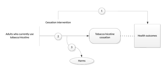 Figure 1 is an analytic framework that depicts the three Key Questions (KQs) to be addressed in the systematic review. Specifically, it illustrates the following questions: whether tobacco cessation interventions improve health outcomes in adults who currently use tobacco, including those who are pregnant (KQ1); whether tobacco cessation interventions iincrease tobacco abstinence in adults who currently use tobacco, including those who are pregnant (KQ2); and whether there are harms associated with tobacco cessation interventions in adults, including those who are pregnant (KQ3).