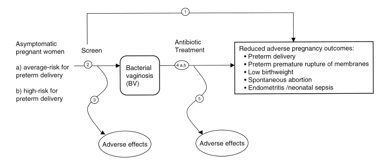 Analytic framework showing the key questions for screening for bacterial vaginosis for average- and high-risk pregnant women for preterm delivery. 
