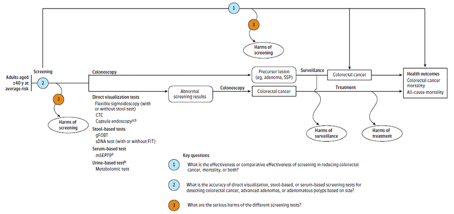 Figure 1 is the analytic framework that depicts the three Key Questions to be addressed in the systematic review. The figure illustrates how screening for colorectal cancer in adults 40 years or older may result in a decrease in colorectal cancer incidence, colorectal cancer mortality, and/or all-cause mortality (Key Question 1). There is also a question related to the accuracy of screening tests used to detect colorectal cancer or adenomatous polyps (Key Question 2) and potential harms of screening (Key Question 3).