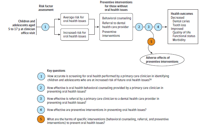 The analytic framework depicts the relationship between the population, preventive interventions, outcomes, and potential harms of interventions to prevent oral health issues. The far left of the framework describes the target population as children and adolescents ages 5 to 17 years at a clinician office visit. To the right of the population is an arrow corresponding to key question 1 which represents accuracy of risk factor assessment, identifying those at average or increased risk for oral health issues. Arrows show that children at either risk level without oral health issues would receive preventive interventions of behavioral counseling, referral to a dental health care provider, and preventive intervention, representing key questions 2, 3, and 4 respectively, with the aim of decreased dental caries and tooth loss, and improved quality of life, functional status, and morbidity. These outcomes are represented in a box at the end of the pathway. Preventive interventions may lead to harms, which are represented by an arrow for key question 5.