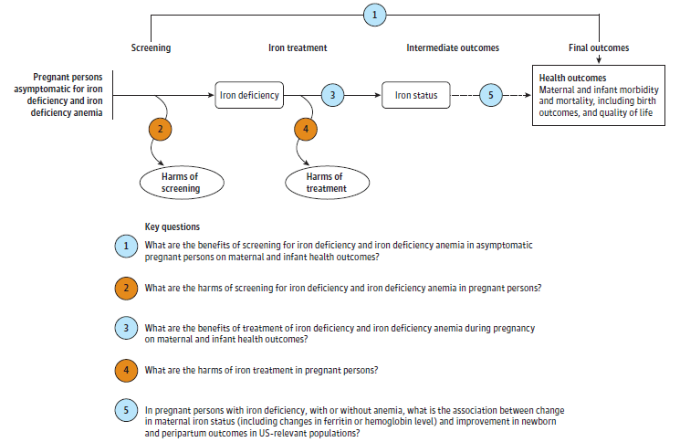The analytic framework depicts the populations, interventions, outcomes, and harms of interest for screening for iron deficiency and iron deficiency anemia in pregnant persons. The far left of the framework describes the target population as pregnant persons asymptomatic for iron deficiency and iron deficiency anemia. To the right is screening. An arrow leads directly from screening to a box containing the health outcomes of maternal and infant morbidity and mortality, including birth outcomes, and quality of life (Key Question 1). Below screening is an oval for harms of screening (Key Question 2). To the right of screening is a box for iron deficiency. An arrow to the right of iron deficiency represents the intervention, iron treatment, and leads to the intermediate outcome of iron status (Key Question 3). Below the intervention is an oval for harms of iron treatment (Key Question 4). A dotted line to the right of iron status represents the connection between iron status and the health outcomes of maternal and infant morbidity and mortality, including birth outcomes, and quality of life (Key Question 5). 