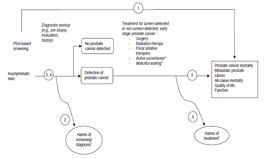 The analytic framework depicts the relationship between the populations, interventions, outcomes, and harms for Screening for Prostate Cancer. The far left of the framework describes the target population as asymptomatic men. To the right of the population is an arrow corresponding to key questions 3 and 4 which represent PSA-based screening and the diagnostic workup to identify adults with prostate cancer or no prostate cancer. An arrow below corresponds to harms of screening or diagnosis (key question 2). From the detection of prostate cancer box, an arrow leads through the treatments for screen-detected or non-screen-detected, early stage prostate cancer (surgery, radiation therapy, focal ablative therapies, active surveillance, watchful waiting) to the clinical outcomes of prostate cancer mortality, metastatic prostate cancer, all-cause mortality, quality of life, and function (key question 5). An asterisk notes that active surveillance and watchful waiting are typically compared to more active treatments in trials. An arrow below corresponds to harms of treatment (key question 6). A footnote on key questions 2 and 6 states harms related to overdiagnosis and overtreatment are included. An overarching line from the population represents screening and the effects of screening directly on clinical outcomes, representing key question 1.