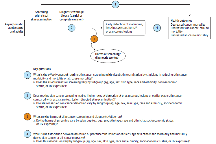 The analytic framework depicts the four Key Questions (KQs). Specifically, it illustrates the following questions: what is the effectiveness of routine skin cancer screening with visual skin examination by clinicians in reducing skin cancer morbidity and mortality or all-cause mortality? (KQ1); does routine skin cancer screening lead to higher rates of detection of precancerous lesions or earlier stage skin cancer compared to usual care (for example, lesion-directed skin examination)? (KQ2); what are the harms of skin cancer screening and diagnostic followup? (KQ3); and what is the association between detection of precancerous lesions or earlier stage skin cancer and morbidity and mortality due to skin cancer or all-cause mortality? (KQ4).