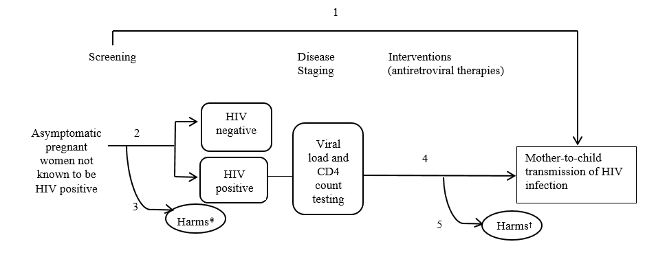 The analytic framework depicts the relationship between the population, intervention, outcomes and harms of screening for HIV. The far left of the framework describes the target population for screening as asymptomatic pregnant women not known to have pre-existing HIV infection. To the right of the population is an arrow corresponding to key question 2, which represents screening. This arrow leads to screening both HIV-positive and HIV-negative populations, and the assessment of harms of screening, including false-positive results, anxiety and effects of labeling, and partner discord, abuse, or violence (key question 3). From the HIV-positive population, an arrow leads to disease staging (viral load and CD4 count testing). A subsequent arrow represents the effects of antiretroviral therapy (key question 4) on the outcome of mother-to-child transmission of HIV infection and assessment of potential harms, including adverse maternal and infant outcomes associated with use of antiretroviral therapy (key question 5). An overarching arrow symbolizing key question 1 spans directly from screening to the final health outcome mentioned above.