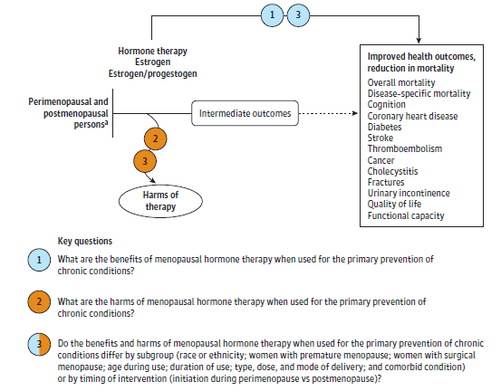 This figure is an analytic framework depicting the key questions (KQs) within the context of the populations, interventions, comparisons, outcomes, time frames, and settings (PICOTS) relative to the benefits and harms of the primary prevention of chronic conditions with estrogen or combination estrogen and progestogen menopausal hormone therapy (HT). This figure illustrates the HT pathway for the population of interest, namely perimenopausal and postmenopausal women eligible for HT. The definitions of perimenopausal and postmenopausal women are based on STRAW+10 criteria. From the population of interest listed on the left side of the figure, there is an arrow going across to intermediate outcomes in the middle of the figure and an arrow going from intermediate outcomes to improved health outcomes, reduction in mortality on the right side of the figure. There is also an arrow pointing down to adverse effects from the arrow connecting perimenopausal and postmenopausal women and intermediate outcomes. There are two overarching questions for the review that span the entire analytic framework. The first (KQ 1) examines the benefits that may result from use of HT when used for the primary prevention of chronic conditions and the second (KQ 3) evaluates whether those benefits differ by subgroups (including race or ethnicity; women with premature menopause; surgical menopause; age of use; duration of use, type, dose, and mode of hormone delivery; and comorbid conditions) or by timing of intervention (initiation of HT during perimenopause or postmenopause). There are two questions for the review that apply to adverse events. The first (KQ 2) examines the harms associated with HT when used for the primary prevention of chronic conditions and the second (KQ3) evaluates whether those harms differ by subgroups or by timing of intervention.