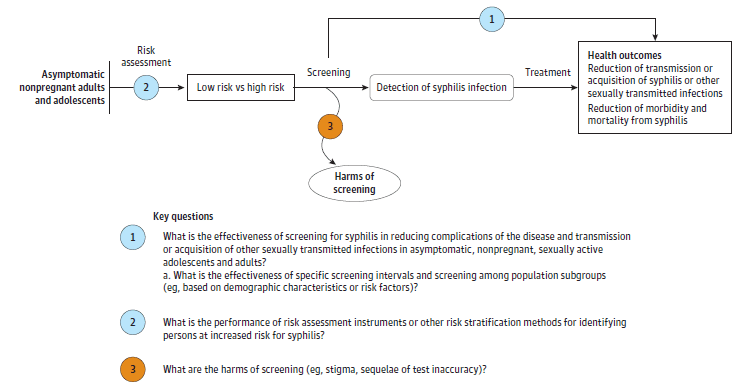 Figure is the analytic framework that depicts the three Key Questions to be addressed in the systematic review. The figure illustrates how screening for syphilis infection in asymptomatic nonpregnant adults and adolescents may result in improved health outcomes, including a reduction of transmission or acquisition of syphilis or other sexually transmitted infections, and a reduction of morbidity and mortality from syphilis (Key Question 1). Additionally, the figure illustrates whether risk assessment instruments or other risk stratification methods can identify asymptomatic nonpregnant adults and adolescents at increased risk for syphilis infection (Key Question 2).The figure also shows whether screening for syphilis infection is associated with any harms (Key Question 3).