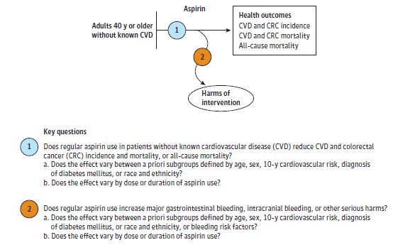 Figure 1 is the analytic framework that depicts the two Key Questions to be addressed in the systematic review. The figure illustrates how regular aspirin use in patients without known cardiovascular disease (CVD) may reduce CVD- and colorectal cancer (CRC) incidence and mortality, or all-cause mortality  (KQ1). Additionally, the figure depicts the possibility that regular aspirin use increases the incidence of major GI bleeding, intracranial bleeding, or other serious harms (KQ2).