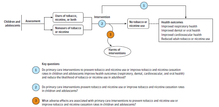 Figure 1 is an analytic framework that depicts the pathway children and adolescents may go through to prevent and/or stop tobacco and/or nicotine use. Children and adolescents are assessed for tobacco and/or nicotine use, may undergo prevention and/or cessation interventions that may lead to prevention and/or cessation of tobacco or nicotine use and secondary health outcomes (respiratory health, dental/oral health, and cardiovascular health) and adult tobacco or nicotine use. Interventions may also lead to harms. 