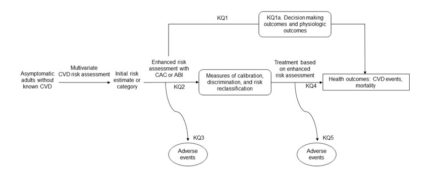 Figure 1 is the analytic framework that depicts the five Key Questions (KQs) addressed in the systematic review. The figure illustrates how enhanced risk factor assessment (specifically, coronary artery calcium [CAC] score and ankle brachial index [ABI]) may result in improved health outcomes, including cardiovascular morbidity and mortality (KQ1) and decision making and physiologic outcomes (KQ1a). Additionally, the figure illustrates how enhanced risk factor assessment may improve measures of calibration, discrimination, and risk reclassification (KQ2) and how treatment based on nontraditional risk factor assessment may improve health outcomes (KQ4). Further, the figure depicts whether enhanced risk factor assessment or treatment based on enhanced risk factor assessment are associated with any adverse events (KQ3 and KQ5).