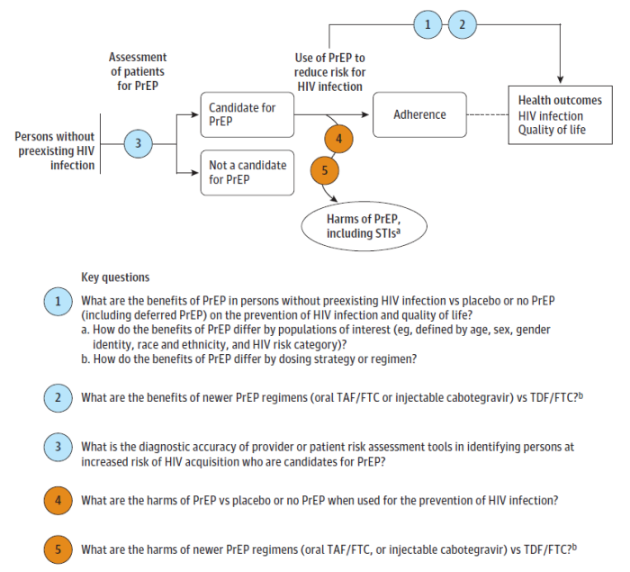 The analytic framework depicts the relationship between the population, intervention, outcomes, and harms of pre-exposure prophylaxis (PrEP) for the prevention of HIV infection. The far left of the framework describes the target population as persons without pre-existing HIV infection. To the right of the population is an arrow which represents assessment of patients for use of PrEP (key question 3) which leads to boxes representing a candidate for PrEP or not a candidate for PrEP. From the candidate for PrEP population box, an arrow representing the use of PrEP leads through a box representing adherence to the effects of PrEP on the clinical outcomes of HIV infection and quality of life (key questions 1 and 2; and also key questions 1a and 1b for whether population subgroups and dosing strategy or regimen affect effectiveness). Key Questions 2 and 5 examine the benefits of newer PrEP regimens versus tenofovir disoproxil fumarate-emtricitabine (TDF-FTC). The assessment of any potential harms of PrEP (key questions 4 and 5), which include other STIs, renal dysfunction, adverse effects on bone, pregnancy-related outcomes, infection with antiretroviral drug- resistant HIV, gastrointestinal harms, headaches, and discontinuation due to adverse events. 