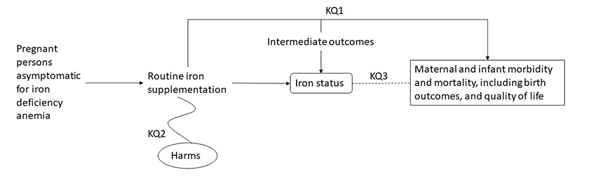 The analytic framework depicts the relationship between the population, intervention, outcomes, and harms of supplementation for the prevention of iron deficiency anemia during pregnancy. The far left of the framework describes the target population as pregnant persons asymptomatic for iron deficiency anemia. To the right of the population is an arrow which leads to the intervention routine iron supplementation. Below routine iron supplementation is an oval for harms of screening (Key Question 2). An arrow leads directly from the intervention to a box containing health outcomes maternal and infant morbidity and mortality, including birth outcomes, and quality of life (Key Question 1). An arrow to the right of the intervention leads to a rounded edge box containing the intermediate outcome of iron status. A dotted line to the right of iron status represents the connection between iron status and health outcomes maternal and infant morbidity and m