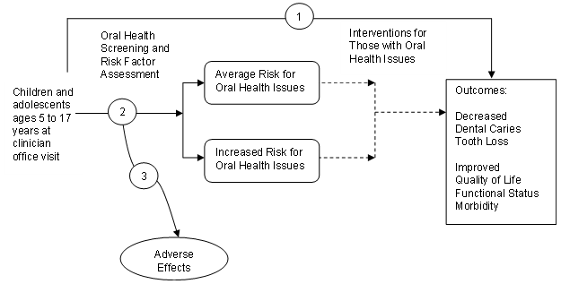 The analytic framework depicts the relationship between the population, screening, interventions, outcomes, and potential harms of screening for oral health. The far left of the framework shows the target population for screening as children and adolescents ages 5 to 17 years at a clinician office visit. To the right of the population is an arrow corresponding to key question 2, which represents the accuracy of screening and risk factor assessment. This arrow leads to those at average or increased risk for oral health issues. This step may lead to harms, which corresponds to key question 3. Arrows show that children at either risk level may experience interventions with the aim of decreasing dental caries and tooth loss and improving quality of life, functional status, and morbidity. An overarching arrow representing key question 1 goes directly from screening to these outcomes of interest.