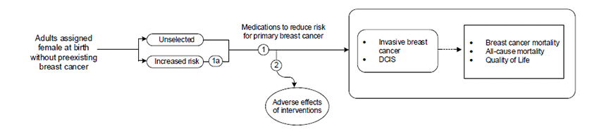 Figure 1 is the analytic framework that depicts the two Key Questions to be addressed in the systematic review. The figure illustrates how medications to reduce the risk for primary cancer may reduce the incidence of breast cancer, breast cancer mortality, all-cause mortality, and quality of life (KQ1). Additionally, the figure indicates that the review will describe the approach used in studies to identify participants at increased risk of breast cancer (KQ1a), as well as harms associated with using the medication to reduce primary breast cancer risk (KQ3). 