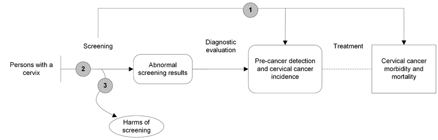 Figure 1 is the analytic framework that depicts the three Key Questions (KQs) to be addressed in the systematic review. The figure addresses the comparative effectiveness of different screening strategies on precancer detection, cancer incidence, or morbidity/mortality (KQ1), as well as the test accuracy of and adherence to self-collection hrHPV vaginal samples (KQ2). Additionally, the comparative harms of the different cervical cancer screening strategies is displayed (KQ3).