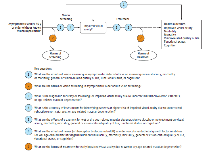 The analytic framework depicts the relationship between the Key Questions for the systematic review within the context of the populations, interventions, outcomes, and harms of screening and treatment for impaired visual acuity. The far left of the framework describes the target population as asymptomatic adults 65 years of age and older without known vision impairment. To the right of the population is a line representing the diagnostic accuracy of screening leading to the diagnosis of impaired visual acuity (Key Question 3) and instruments for identifying patients at higher risk of impaired visual acuity (Key Question 4), and an additional arrow indicates potential harms of screening (Key Question 2). A subsequent line and area of the framework leads from the impaired visual acuity diagnosis to outcomes from treatment (Key Questions 5 and 6), specifically improved visual acuity, morbidity, mortality, vision-related quality of life, functional status, and cognition. An additional arrow indicates potential harms of treatment (Key Question 7). An overarching arrow leading from the initial screening population to the outcomes represents the direct effects of screening on outcomes (Key Question 1).