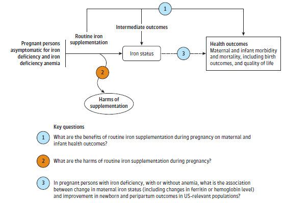 The analytic framework depicts the relationship between the population, intervention, outcomes, and harms of supplementation for the prevention of iron deficiency and iron deficiency anemia during pregnancy. The far left of the framework describes the target population as pregnant persons asymptomatic for iron deficiency and iron deficiency anemia. To the right of the population is an arrow which leads to the intervention, routine iron supplementation. Below routine iron supplementation is an oval for harms of screening (Key Question 2). An arrow leads directly from the intervention to a box containing the health outcomes of maternal and infant morbidity and mortality, including birth outcomes, and quality of life (Key Question 1). An arrow to the right of the intervention leads to a rounded edge box containing the intermediate outcome of iron status. A dotted line to the right of iron status represents the connection between iron status and the health outcomes of maternal and infant morbidity and mortality, including birth outcomes, and quality of life (Key Question 3).