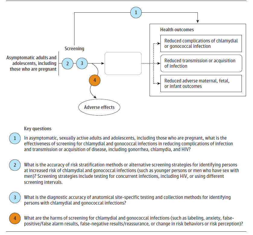Figure 1 is the analytic framework (AF). The AF depicts the relationship between the populations, interventions, outcomes, and harms of screening for chlamydia and gonorrhea infections. The far left of the framework describes the target population as asymptomatic adults and adolescents, including pregnant persons. To the right of the population is an arrow that represents chlamydia and gonorrhea screening, including screening strategies (key question 2) and anatomic site-specific testing and collection methods (key question 3), that leads to the population with chlamydial and gonococcal infection. An arrow below key questions 2 and 3 represents harms or adverse effects of screening for chlamydia and gonorrhea (key question 4). To the right of the population with chlamydial and gonorrheal infection a dotted line arrow represents treatment and leads to three clinical health outcomes: including reduced complications of chlamydial or gonococcal infection; reduced transmission or acquisition of disease; and reduced adverse maternal, fetal or infant outcomes. The clinical health outcome of reduced transmission or acquisition of disease is an intermediate outcome as noted by the rounded edges of the box. A dotted line arrow below reduced transmission or acquisition of disease is used to depict an association with reduced adverse maternal, fetal, or infant outcomes. Arrows with dotted lines acknowledge the relationship between infection and outcomes, but will not be directly addressed in this systematic review. An overarching arrow that extends from the screened population of asymptomatic adults and adolescents, including pregnant persons to the clinical health outcomes symbolizes the effectiveness of screening on clinical health outcomes (key question 1).