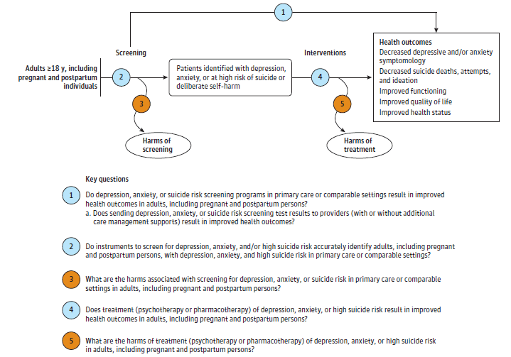Figure 1 is the analytic framework that depicts the five Key Questions to be addressed in the systematic review. The figure illustrates how primary care screening and treatment for depression, anxiety, or suicide risk in adults age 19 years or older, including pregnant and postpartum individuals, may result in improved health outcomes (decreased depressive and/or anxiety symptomology, decreased suicide deaths, self-harm and ideation, improved functioning, improved quality of life, improved health status, and improved maternal/infant outcomes) (Key Questions 1 and 4). There is also a question related to the accuracy of screening instruments used to detect depression, anxiety, or suicide risk (Key Question 2). Lastly, the figure illustrates what harms may be associated with screening for or treatment of depression, anxiety, or suicide risk in adults age 19 years or older, including pregnant and postpartum individuals (Key Questions 3 and 5).