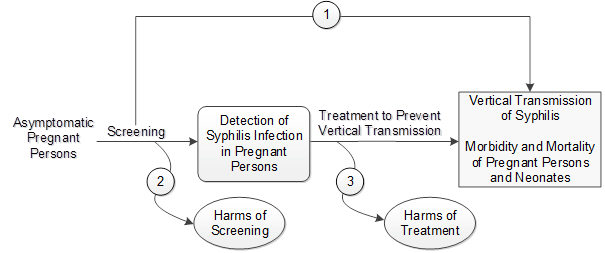 The analytic framework depicts the key questions within the context of the eligible populations, screenings, treatments, comparisons, outcomes, settings, and study designs. On the left, the population of interest is asymptomatic pregnant persons. Moving from left to right, the figure illustrates the overarching key question (KQ): Does screening for syphilis in pregnant persons reduce the incidence of congenital syphilis in newborns? (KQ 1). Screening may result in harms (KQ 2). After detection of syphilis infection in pregnant persons, the figure illustrates the following question: What are the harms of treatment of syphilis with penicillin during pregnancy to pregnant persons or newborns? (KQ 3).