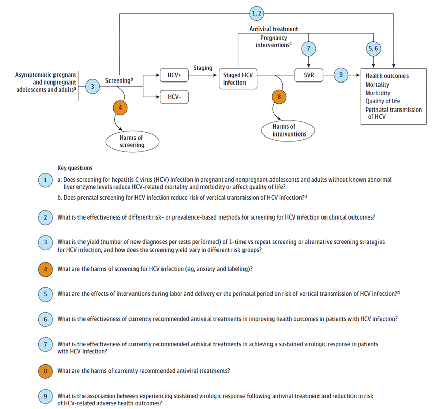 The analytic framework depicts the relationship between the populations, interventions, outcomes, and harms of screening for hepatitis C virus (HCV) infection. The far left of the framework describes the target population for screening as asymptomatic, nonpregnant and pregnant adults and adolescents. (A footnote indicates these are individuals without abnormal lab values. Adolescents are defined as those 12 to 17 years of age. Also noted is that those with HIV, transplant recipients, and patients with renal failure are excluded.) To the right of the population is a line that represents HCV screening and leads to either HCV positive or HCV negative populations. (A footnote describes that screening includes HCV antibody testing with confirmatory HCV RNA testing as indicated.) A subsequent arrow indicates assessment of harms of screening (Key Question 3). From the HCV positive population, an arrow leads to disease staging and, in pregnancy, represents the effectiveness of interventions for HCV positive persons during labor and delivery or in the perinatal period on risk of vertical transmission of HCV infection (Key Question 4). (A footnote specifies that these are interventions that may affect the vertical transmission of HCV, such as Caesarian section, amniocentesis, fetal monitoring, or others, as well as antiviral treatment.) This line also represents the effectiveness of antiviral treatment in improving mortality, morbidity, quality of life (Key Question 5), and in improving the intermediate outcome of SVR rates (Key Question 6), as well as harms associated with antiviral treatments (Key Question 7). A dotted line represents the examination of the association between SVR rates and the reduction in risk of adverse health outcomes associated with HCV infection (Key Question 8). An overarching arrow symbolizing Key Question 1 spans directly from screening, including prenatal screening, to the health outcomes mentioned above. In addition, this line represents the effectiveness of different risk- or prevalence-based methods for screening for HCV infection on the health outcomes (Key Question 2).