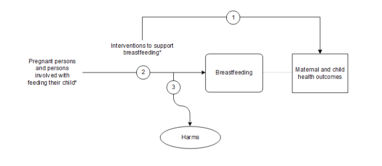 Figure 1 is the analytic framework that depicts the three Key Questions to be addressed in the systematic review. The figure illustrates how interventions to support breastfeeding may result in improved maternal and child health outcomes (KQ1). Additionally, the figure illustrates how interventions to support breastfeeding may have an impact on the initiation, duration, intensity, and exclusivity of breastfeeding (KQ2). Further, the figure depicts whether interventions to support breastfeeding are associated with any harms (KQ3). 