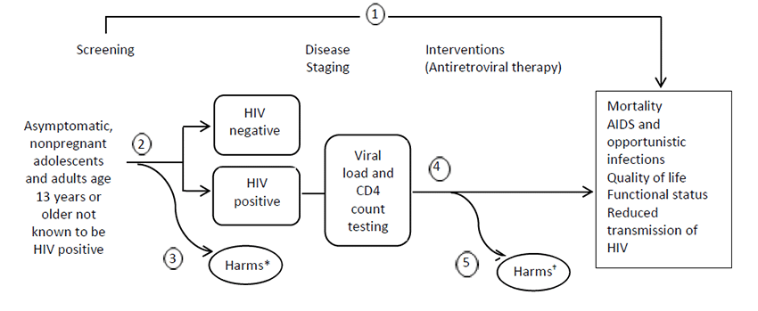 The analytic framework shows the relationship between screening, interventions, outcomes, and harms for the topic: screening for HIV in asymptomatic, nonpregnant adolescents and adults. The far left of the framework describes the target population as asymptomatic, nonpregnant adolescents and adults age 13 years or older not known to be HIV positive. To the right of the population is screening, and the yield of repeat versus one-time screening (key question 2), from which arrows lead to either HIV-positive or HIV-negative boxes along the pathway, and from the HIV-positive box, an arrow leads to disease staging with viral load and CD4 count testing, followed by interventions (antiretroviral therapies) and their effect on the health outcomes of mortality, AIDS and opportunistic infections, quality of life, functional status, and reduced transmission of HIV (key question 4). Offshoot arrows assess potential harms of screening (key question 3) and potential harms of treatment (key question 5). An overarching arrow leads directly from screening to the clinical health outcomes, representing the effects of screening on those outcomes (key question 1). Footnotes state that harms of screening include false-positive test results, anxiety and effects of labeling, and partner discord, abuse, or violence; and harms of treatment include adverse effects associated with antiretroviral therapy, including cardiometabolic outcomes.