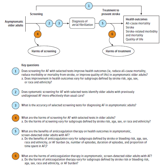 Figure 1 is titled “Analytic Framework.” This figure is the proposed analytic framework depicting the six key questions about screening with electrocardiography (ECG) within the context of the eligible populations, screenings/interventions, comparisons, outcomes, timing, and settings. In general, the figure illustrates the overarching question (key question 1):  whether screening asymptomatic adults ages 50 or older with selected tests for atrial fibrillation leads to improved health outcomes. Health outcomes include all-cause mortality, stroke, stroke-related morbidity and mortality, and quality of life. The framework starts on the left with the patient population of interest: asymptomatic adults ages 50 or older. Moving from left to right, the figure depicts the ability of screening with selected tests to diagnose atrial fibrillation compared to usual care (key question 2), the diagnostic accuracy of selected screening tests (key question 3), and the potential harms of screening with selected tests (key question 4). For older adults with screen-detected atrial fibrillation, whether treatment with anticoagulation improves health outcomes (key question 5) or results in harms (key question 6) completes the framework on the right.