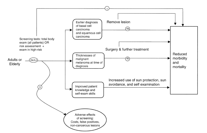 Figure 1 shows the populations, interventions, and outcome measures we examined. We did not find direct evidence from controlled studies of the effect of screening on health outcomes (Arrow 1) such as mortality and quality of life. We examined the consequences of screening on detection of squamous cell carcinoma and basal cell carcinoma (Arrow 2a) and on malignant melanoma (Arrow 2b). Specifically, we examined how often patients are found to have skin cancer, how often suspected skin cancer is confirmed by biopsy, and at what stage cancer is found. We also sought evidence about the effect of screening on patients’ health beliefs and practices regarding skin cancer prevention, such as increased use of sun protection, sun avoidance, and self-examination (Arrow 2c), and about the adverse effects of screening (Arrow 3).