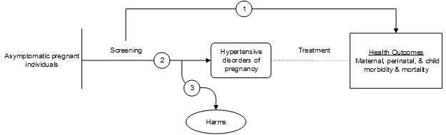 Figure 1 is the analytic framework that depicts the three Key Questions to be addressed in the systematic review. The figure illustrates how different screening programs used to identify hypertensive disorders of pregnancy among asymptomatic pregnant persons may reduce maternal, perinatal, and child morbidity and mortality (KQ1). Additionally, the figure depicts how effective different screening programs used to identify hypertensive disorders of pregnancy among asymptomatic pregnant persons may be (KQ2), as well as harms that may be associated with different screening programs used to identify hypertensive disorders of pregnancy among asymptomatic pregnant persons (KQ3).