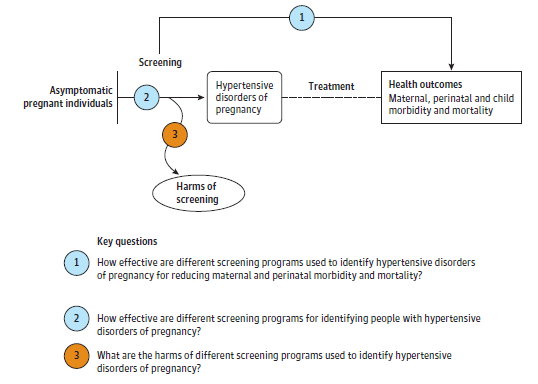 Figure 1 is the analytic framework that depicts the three Key Questions to be addressed in the systematic review. The figure illustrates how different screening programs used to identify hypertensive disorders of pregnancy among asymptomatic pregnant individuals may reduce maternal, perinatal, and child morbidity and mortality (KQ1). Additionally, the figure depicts how effective different screening programs used to identify hypertensive disorders of pregnancy among asymptomatic pregnant individuals may be (KQ2), as well as harms that may be associated with different screening programs used to identify hypertensive disorders of pregnancy among asymptomatic pregnant individuals (KQ3). 