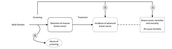 Figure 1 is an analytic framework that depicts the three Key Questions presented in the draft Research Plan. In general, the figure illustrates how breast cancer screening can reduce the incidence of advanced breast cancer, breast cancer morbidity and mortality, and all-cause mortality. 