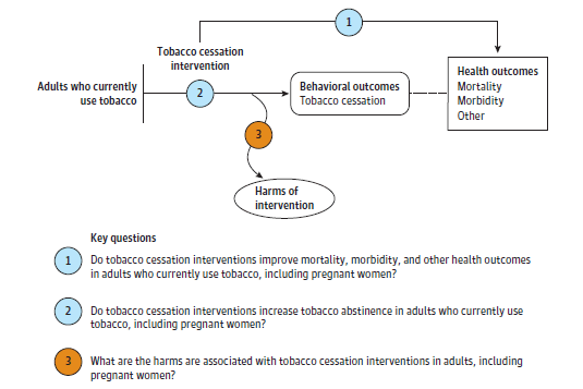 Figure is an analytic framework that depicts three Key Questions to be addressed in the systematic review. The figure illustrates how tobacco cessation interventions may result in improved mortality, morbidity, and other health outcomes in adults who currently use tobacco, including pregnant women (Key Question 1), and how tobacco cessation interventions may result in increased tobacco abstinence in adults who currently use tobacco, including pregnant women (Key Question 2). Additionally, the figure addresses how tobacco cessation interventions may be associated with any harms in adults, including pregnant women (Key Question 3).