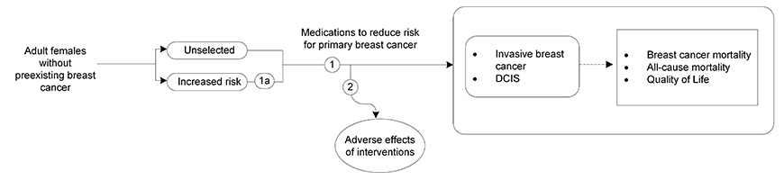 Figure 1 is the analytic framework that depicts the two Key Questions to be addressed in the systematic review. The figure illustrates how medications to reduce the risk for primary cancer may reduce the incidence of breast cancer, breast cancer mortality, all-cause mortality, and affect quality of life (KQ1). Additionally, the figure indicates that the review will describe the approach used in studies to identify participants at increased risk of breast cancer (KQ1a), as well as harms associated with using the medication to reduce primary breast cancer risk (KQ3). 