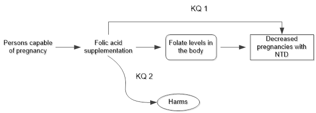 This figure depicts the analytic framework that outlines the key questions addressed and the evidence covered in this research plan, including populations, interventions, and outcomes. On the left, the population of interest is specified as persons capable of pregnancy. Moving from left to right, the figure illustrates the overarching question: To what extent does folic acid supplementation reduce the risk for neural tube defects (first occurrence) in persons capable of becoming pregnant (Key Question 1)? The figure then depicts the pathway from folic acid supplementation to neural tube defects operating through folate levels in the body. Folic acid supplementation may result in harms (Key Question 2).