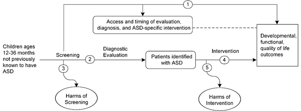 Figure 1 is the analytic framework that depicts the five Key Questions to be addressed in the systematic review. The figure illustrates how screening for autism spectrum disorder in children ages 12-36 months may result in improved intermediate outcomes (access to autism spectrum disorder evaluation, diagnosis, and interventions) and health outcomes (developmental, function, and quality of life outcomes) (Key Question 1). There is also a question related to the accuracy of screening instruments used to detect autism spectrum disorder (Key Question 2) and potential harms of screening (Key Question 3). Additionally, the figure illustrates that interventions for autism spectrum disorder may have an impact on health outcomes (patient, family/caregiver, and societal outcomes) (Key Question 4) and whether these interventions result in any harms (Key Question 5).