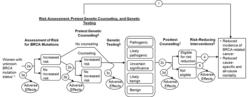 Figure 1 is a flow diagram of the risk assessment, genetic counseling, and genetic testing clinical pathway, and the overarching question asks if these interventions reduce the incidence of BRCA-related cancer and cause-specific and all-cause mortality (Key Question 1). Women with unknown BRCA mutation status, including women who have a previous diagnosis of BRCA-related cancer but have completed treatment and have not been previously evaluated for BRCA1/2 mutation status, are assessed for BRCA mutation risk (Key Question 2a). These women may experience adverse effects as they are determined to have either no increased risk or increased risk for BRCA mutations (Key Question 3a). Women with an increased risk are referred for genetic counseling (Key Question 2b), during which they may experience adverse effects (Key Question 3b). Following genetic counseling, women are determined to have either no increased risk or increased risk for BRCA mutations. Women with an increased risk who are referred for genetic testing may experience adverse effects (Key Question 3c). Women may undergo posttest counseling, which includes interpretation of results, determination of eligibility for risk-reducing interventions, and patient decision making (Key Questions 2c, 3d). Women eligible for risk reduction may be referred for interventions (Key Question 4), which may include increased early detection through intensive screening (earlier and more frequent mammography, breast MRI), risk-reducing medications (aromatase inhibitors, tamoxifen), and risk-reducing surgery (mastectomy, salpingo-oophorectomy). Women who undergo interventions may also have reduced incidence of BRCA-related cancer and reduced cause-specific and all-cause mortality (Key Question 4). Women who undergo interventions may experience adverse effects (Key Question 5). 