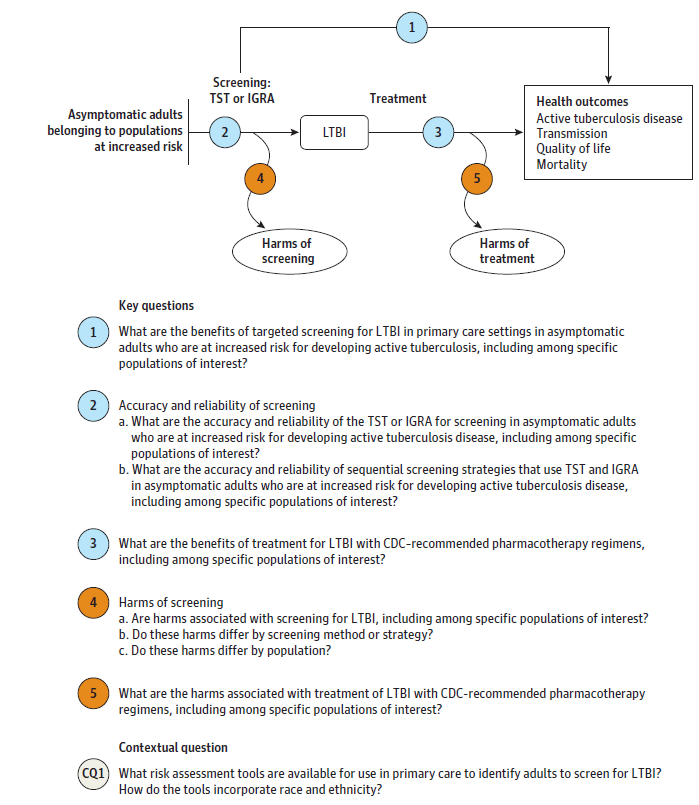 Figure 1 depicts the key questions within the context of the eligible populations, screenings/interventions, comparisons, outcomes, and settings. On the left, the population of interest is asymptomatic adults belonging to populations with increased risk for latent tuberculosis infection (LTBI). Moving from left to right, the figure illustrates the overarching question: Does targeted screening for LTBI in primary care settings in asymptomatic adults at increased risk for developing active tuberculosis disease (TB) improve quality of life or reduce active TB disease incidence, transmission of TB, or disease-specific or overall mortality (KQ1)? The figure depicts the pathway from screening to reduction in the development of active TB, transmission, quality of life and mortality of LTBI to illustrate the questions: What is the accuracy and reliability of the tuberculin skin test (TST) or interferon gamma release assay (IGRA) for screening asymptomatic adults at increased risk for developing active TB and what is the accuracy and reliability of sequential screening strategies that use TST and IGRA (KQ2a/KQ2b). Screening may result in harms (KQ4). After detection of LTBI, the figure illustrates the following questions: Does treatment of LTBI with Centers for Disease Control and Prevention recommended pharmacotherapy regimens improve quality of life or reduce progression to active TB disease, transmission of TB, or disease-specific or overall mortality (KQ3)? Treatment may result in harms (KQ5).