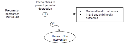 Figure 1 is the analytic framework that depicts the two Key Questions to be addressed in the systematic review. The figure illustrates how interventions to prevent perinatal depression in pregnant or postpartum individuals may result in improved maternal, infant, and child health outcomes (KQ1). Additionally, the figure depicts whether interventions to prevent perinatal depression in pregnant or postpartum individuals are associated with any harms (KQ2).