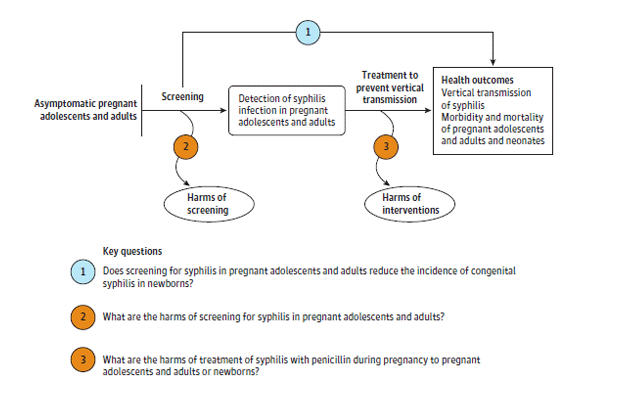 This is the analytic framework that depicts the key questions within the context of the eligible populations, screenings, treatments, comparisons, outcomes, settings, and study designs. On the left, the population of interest is asymptomatic pregnant adolescents and adults. Moving from left to right, the figure illustrates the overarching key question (KQ): Does screening for syphilis in pregnant adolescents and adults reduce the incidence of congenital syphilis in newborns (KQ 1)? Screening may result in harms (KQ 2). After detection of syphilis infection in pregnancy, the figure illustrates the following question: What are the harms of treatment of syphilis with penicillin during pregnancy to pregnant adolescents and adults or newborns (KQ 3)?